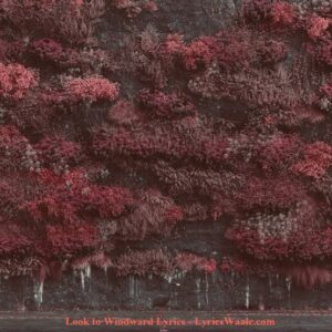 Look to Windward Lyrics - LyricsWaale.com