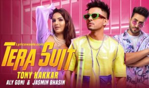 Maine Dil Lagana Chhod Diya Hai Lyrics in Hindi – Tony Kakkar ,Maine Dil Lagana Chhod Diya Hai Song Poster – Tony Kakkar