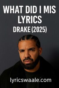 what did i miss lyrics,Drake What Did I Miss Song Poster