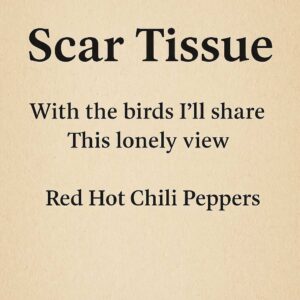 Scar Tissue Lyrics,Scar Tissue Song Image Red Hot Chili Peppers
